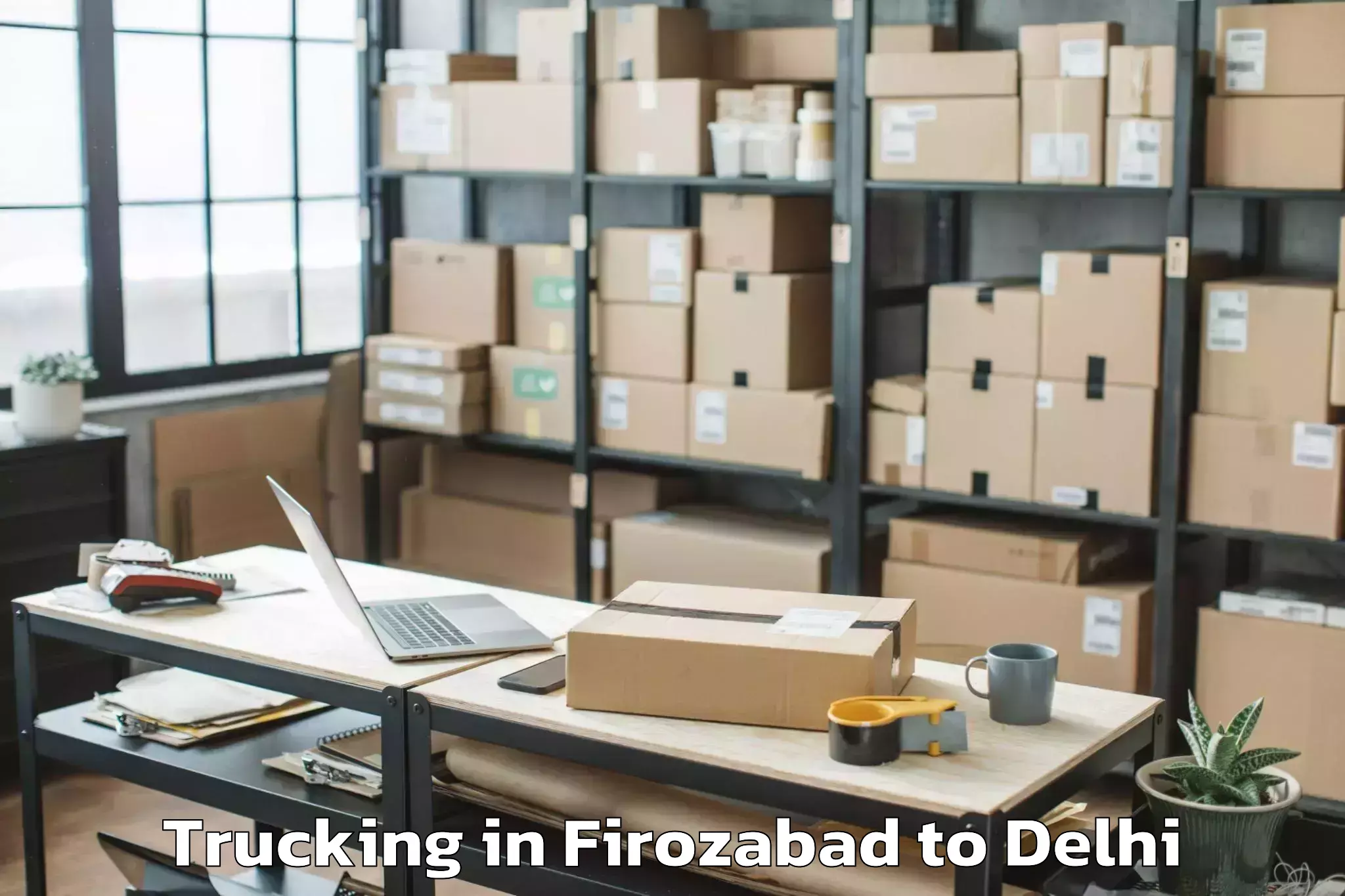 Professional Firozabad to Ramesh Nagar Trucking